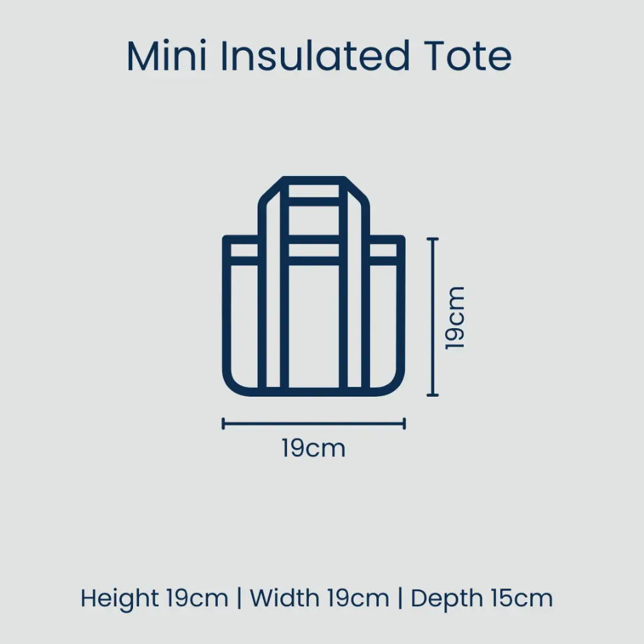 Project Ten Mini Insulated Tote - Green Blue Stripe