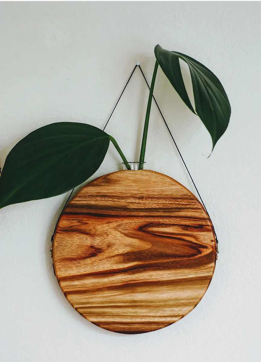 Sun Planter Timber wall hanger by Fab Signature
