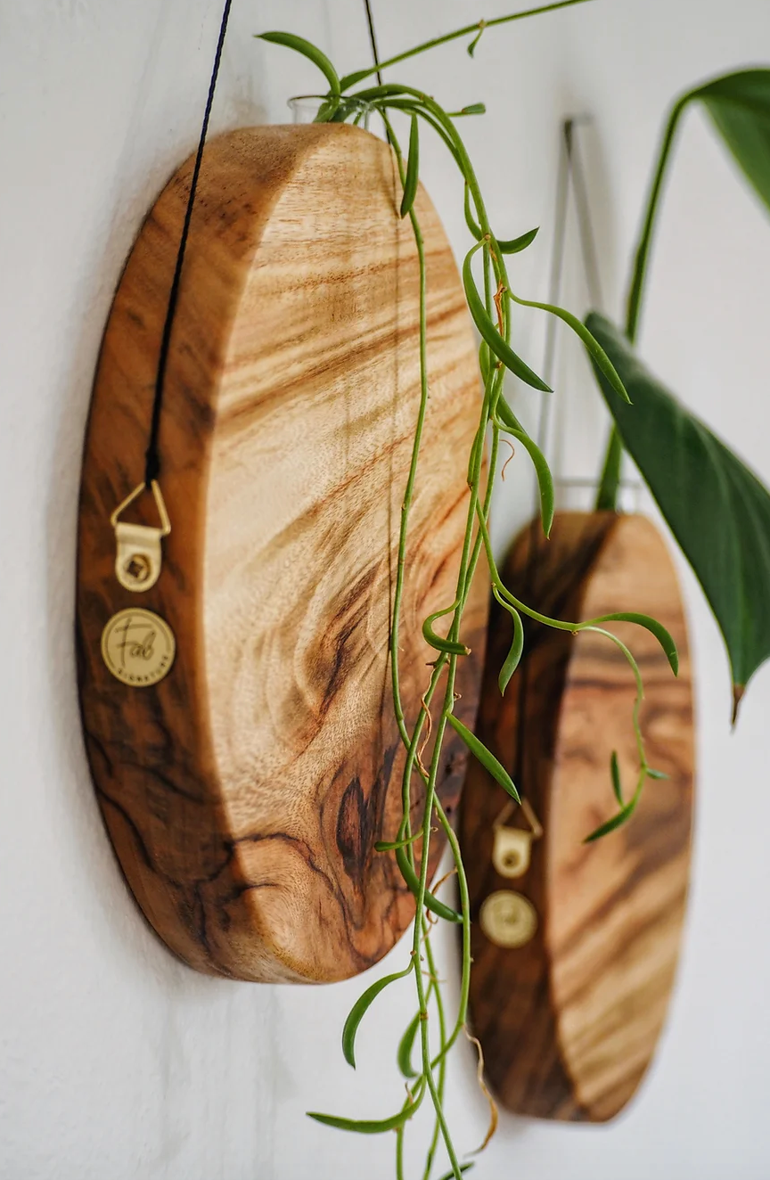 Sun Planter Timber wall hanger by Fab Signature