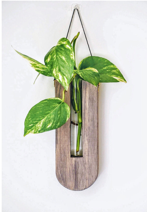 Timber wall hanger - Drop, Grey