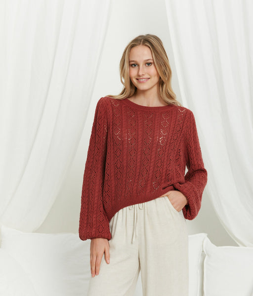 100%Cotton Knit - Burgandy