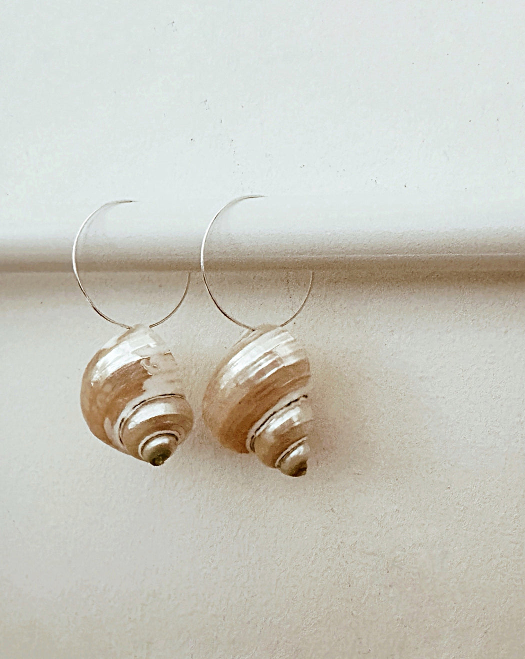 Polished Conch Shell Earrings