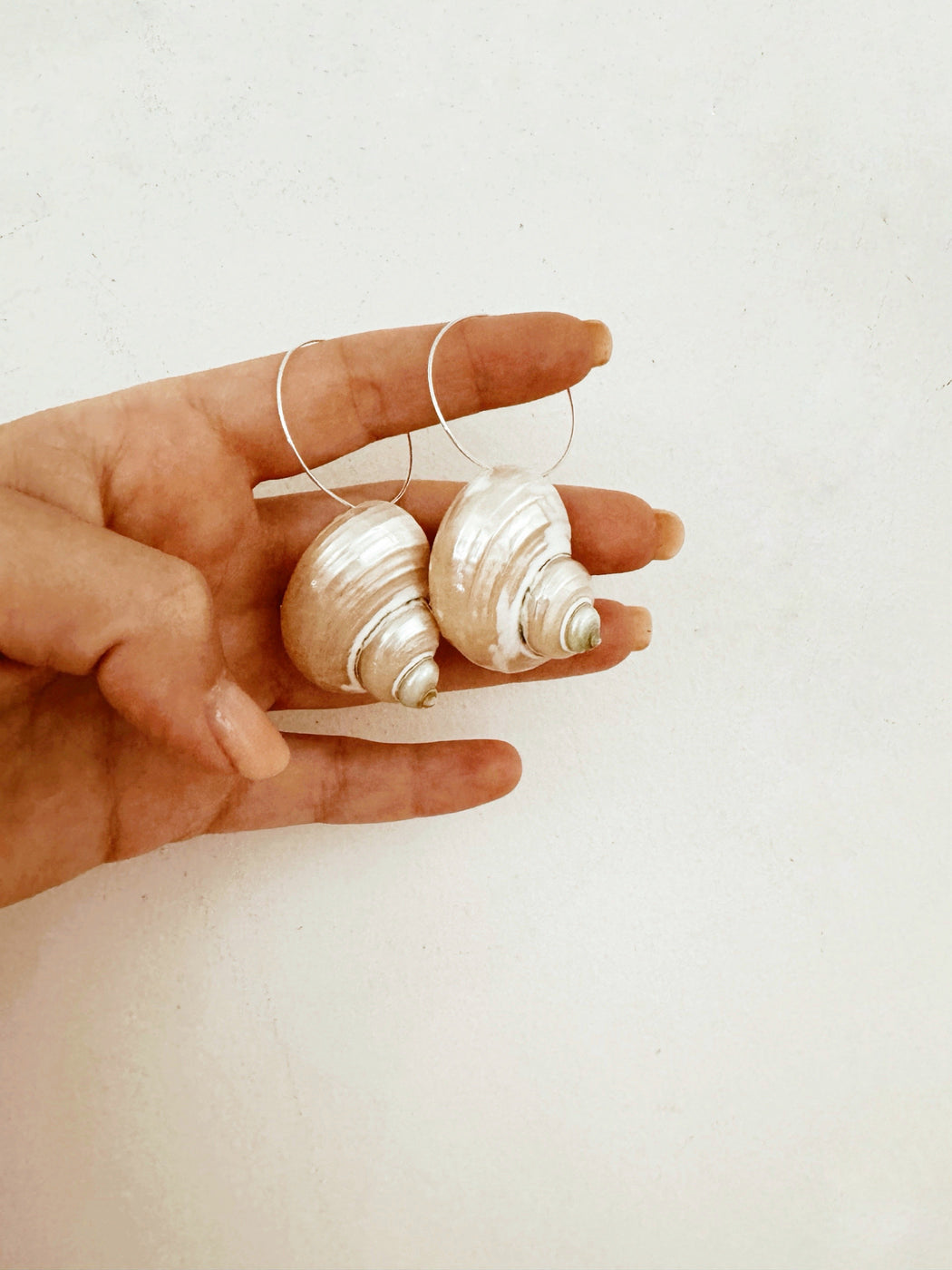 Polished Conch Shell Earrings