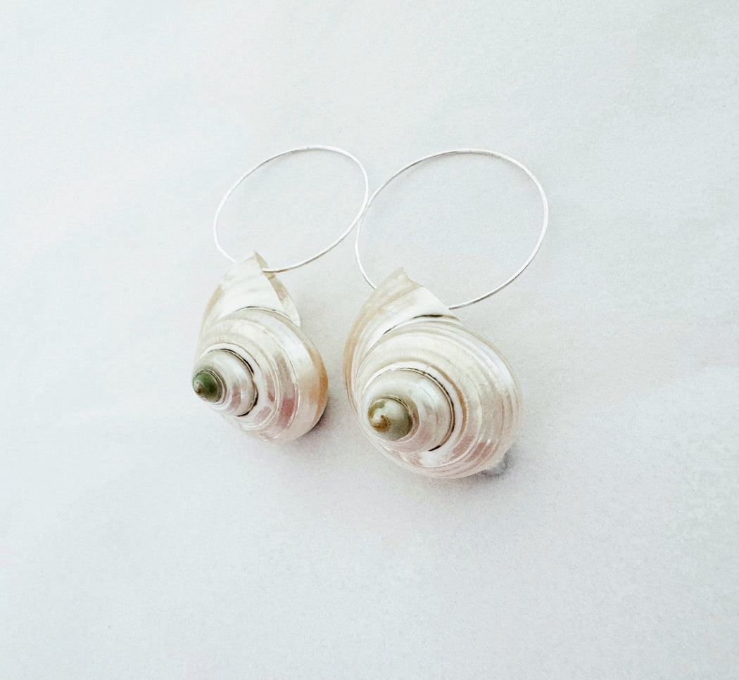 Polished Conch Shell Earrings