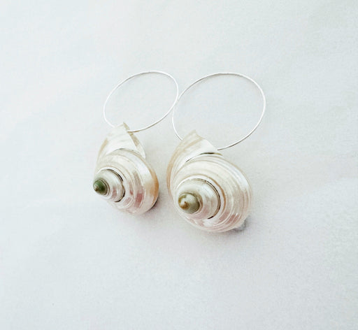 Polished Conch Shell Earrings