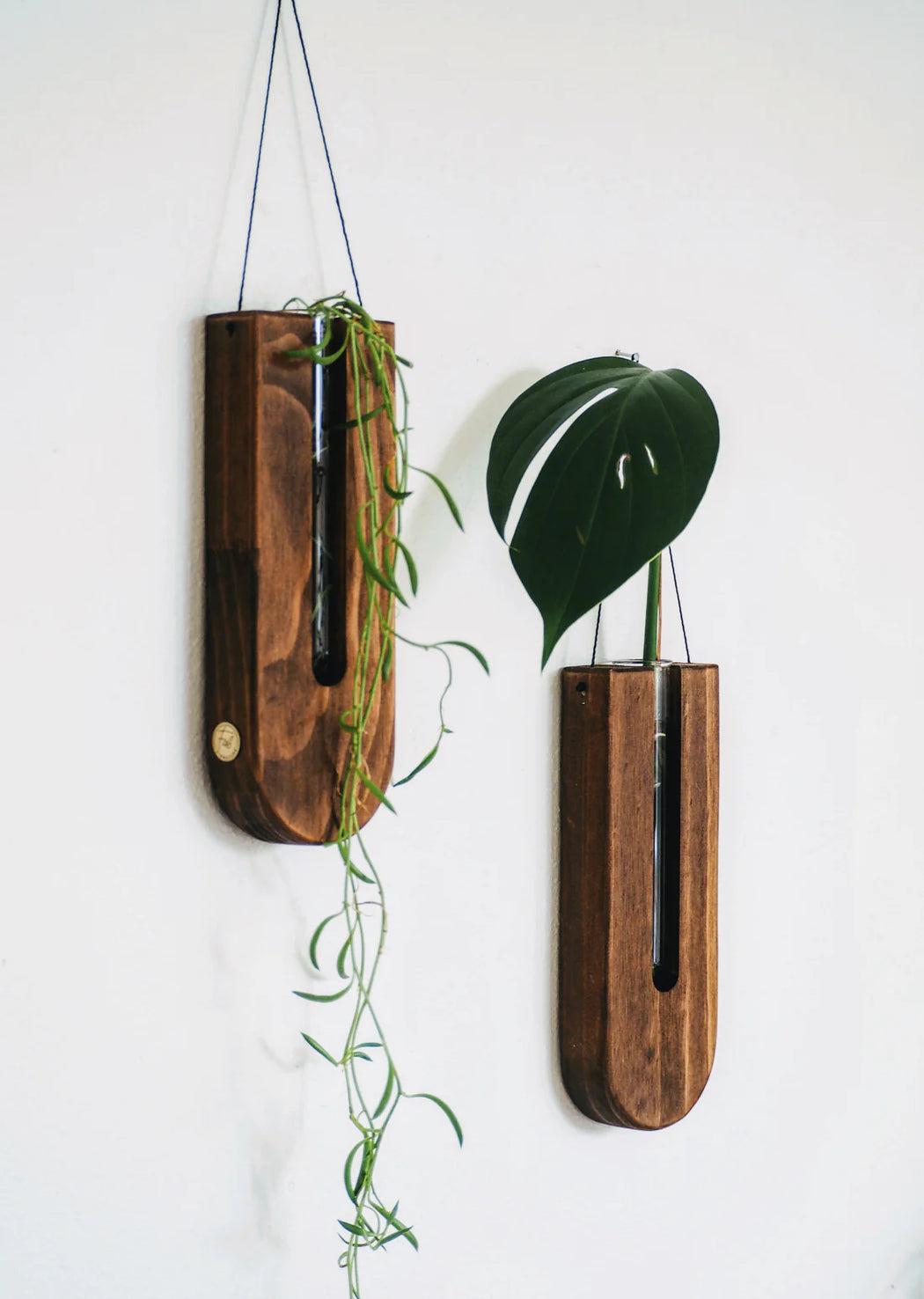Timber wall hanger - Drop, Walnut
