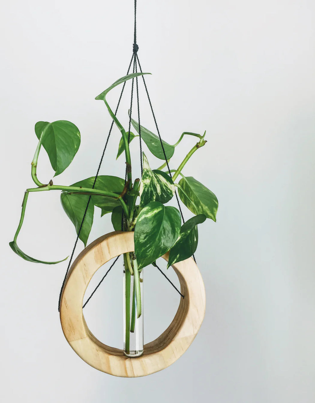 wall hanger - Natural