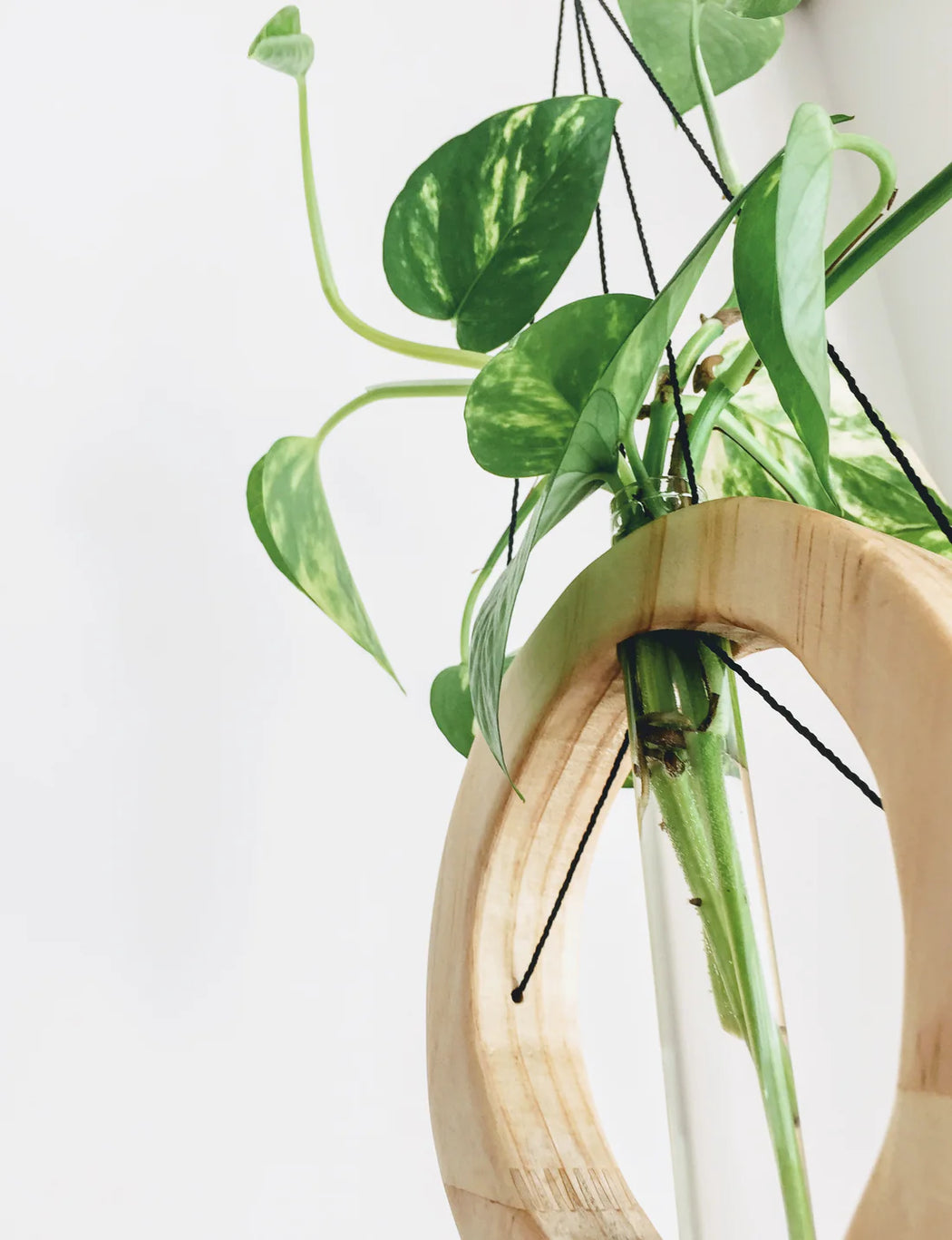 wall hanger - Natural