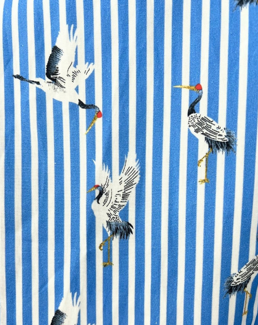 Long Sleeve Button up Shirt - Stripe Blue Birds