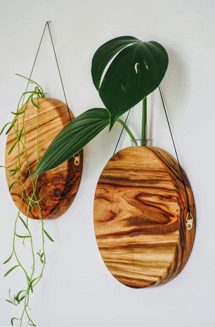 Sun Planter Timber wall hanger by Fab Signature