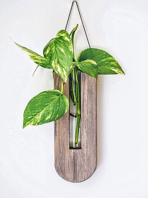 Timber wall hanger - Drop, Grey