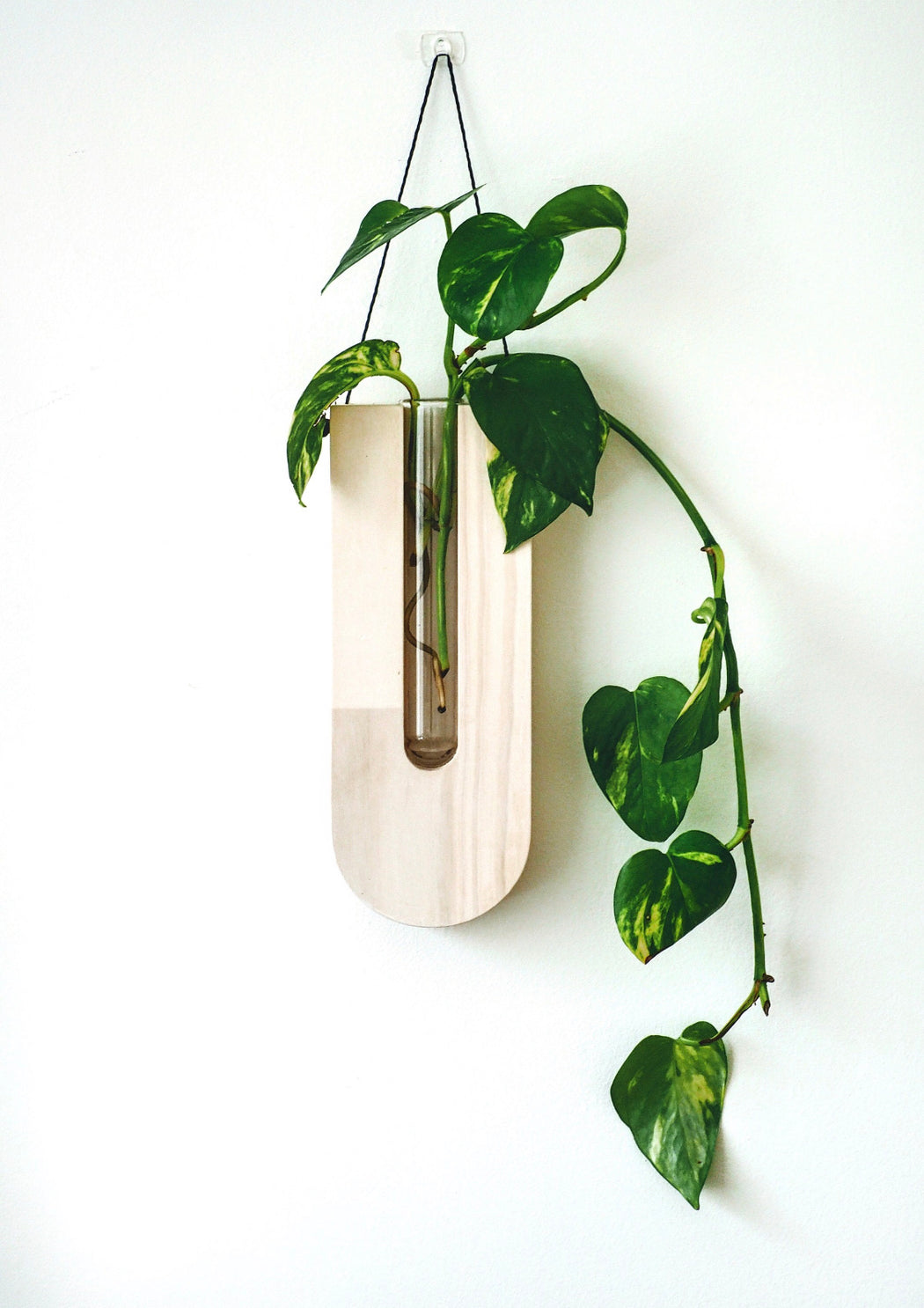 Timber wall hanger - Drop, White